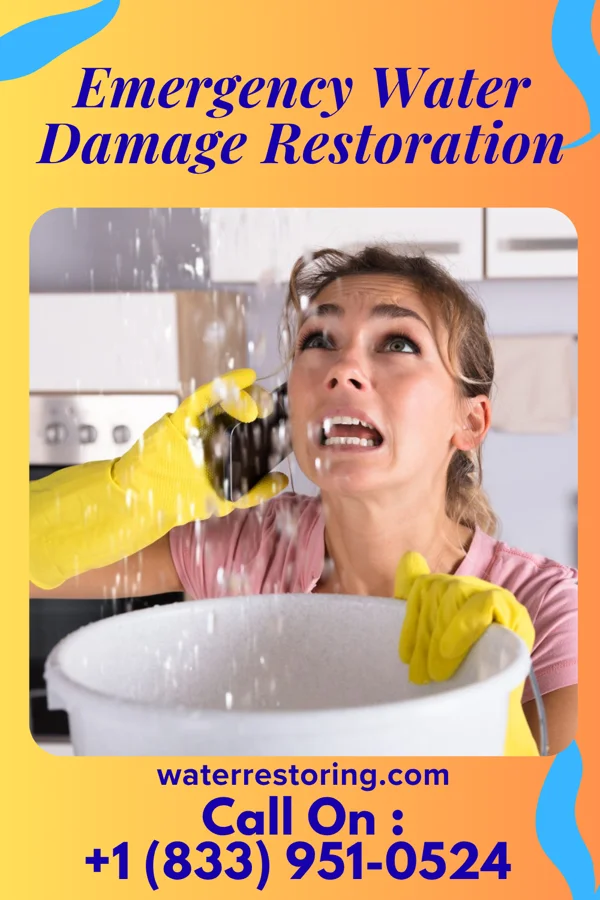 Emergency Water Damage Restoration in Creal Springs, IL